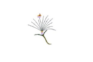 Embroidery Review: The Rest Stop for Bees Flower Design