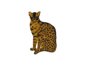 Fishing Cat: A Cozy Embroidery Design for Personalized Gifts