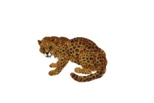Jaguar Embroidery Design: A Small Business Branding Review